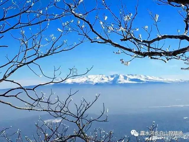 街头打手2